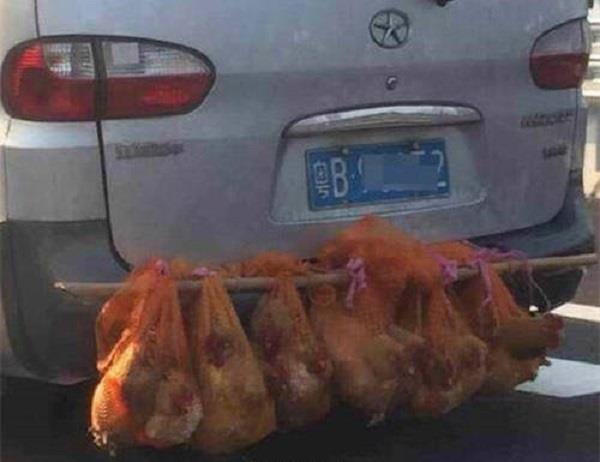 征婚最新资讯-快科技--科技改变未来